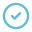 Teal colour check mark for bullet points.