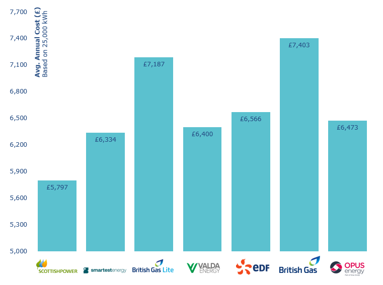 Business Electricity Supplier Annual Costs 2024